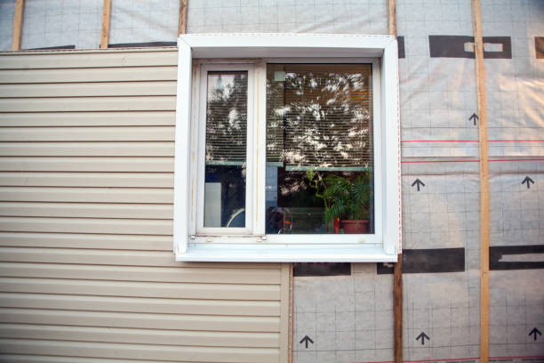 Reliable Glenwood City, WI Siding Solutions